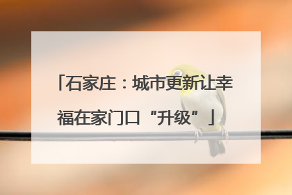 石家庄：城市更新让幸福在家门口“升级”