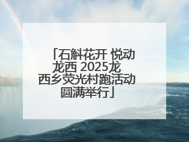 石斛花开 悦动龙西 2025龙西乡荧光村跑活动圆满举行