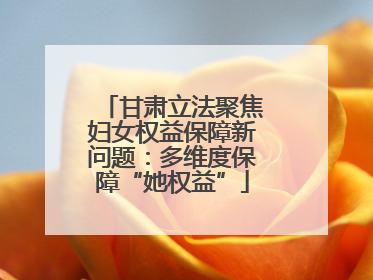 甘肃立法聚焦妇女权益保障新问题：多维度保障“她权益”