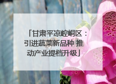 甘肃平凉崆峒区：引进蔬菜新品种 推动产业提档升级