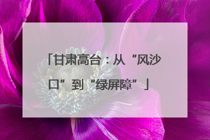 甘肃高台：从“风沙口”到“绿屏障”