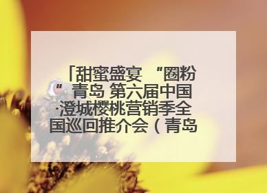 甜蜜盛宴 “圈粉”青岛 第六届中国·澄城樱桃营销季全国巡回推介会（青岛站）成功举办