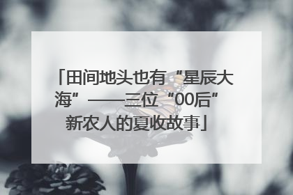 田间地头也有“星辰大海”——三位“00后”新农人的夏收故事
