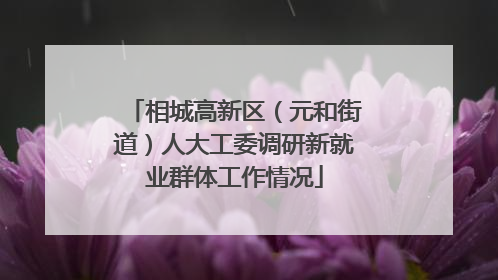 相城高新区（元和街道）人大工委调研新就业群体工作情况