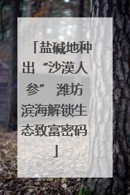 盐碱地种出“沙漠人参” 潍坊滨海解锁生态致富密码