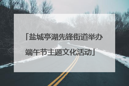 盐城亭湖先锋街道举办端午节主题文化活动