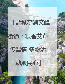 盐城亭湖文峰街道：粽香艾草传温情 多彩活动聚民心