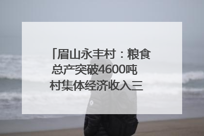 眉山永丰村：粮食总产突破4600吨 村集体经济收入三年倍增｜牵挂的村