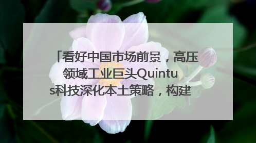 看好中国市场前景，高压领域工业巨头Quintus科技深化本土策略，构建全方位服务亚太区总部