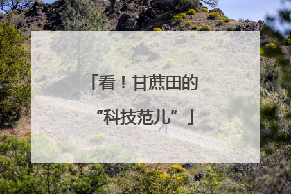 看！甘蔗田的“科技范儿”