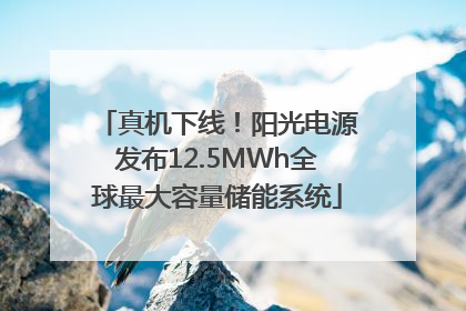 真机下线！阳光电源发布12.5MWh全球最大容量储能系统