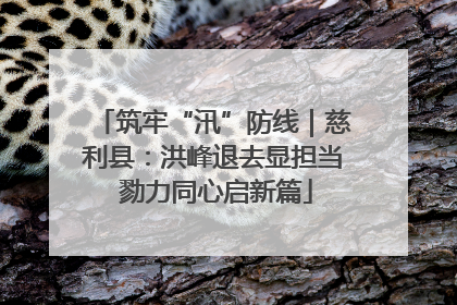 筑牢“汛”防线｜慈利县：洪峰退去显担当 勠力同心启新篇