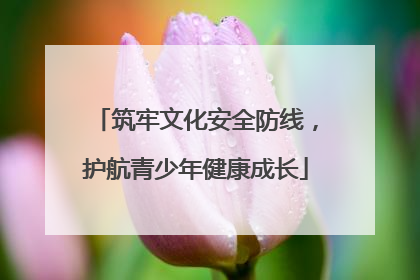 筑牢文化安全防线，护航青少年健康成长