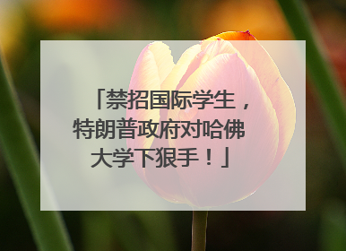 禁招国际学生，特朗普政府对哈佛大学下狠手！