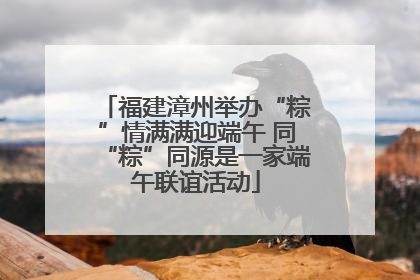 福建漳州举办“粽”情满满迎端午 同“粽”同源是一家端午联谊活动