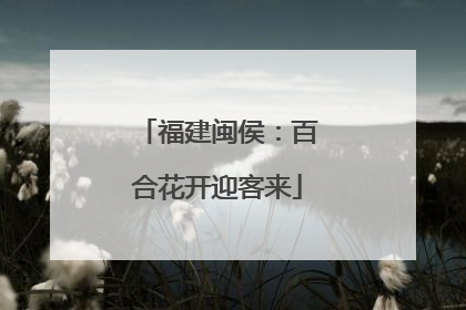 福建闽侯：百合花开迎客来