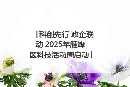 科创先行 政企联动 2025年雁峰区科技活动周启动