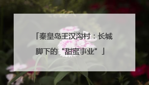 秦皇岛王汉沟村：长城脚下的“甜蜜事业”
