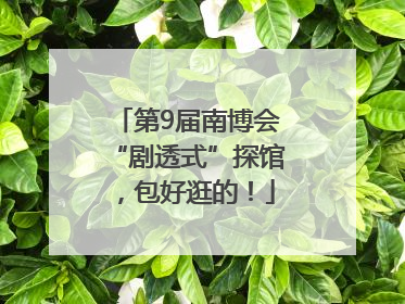 第9届南博会“剧透式”探馆，包好逛的！