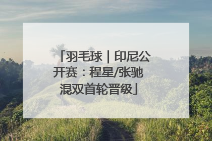 羽毛球｜印尼公开赛：程星/张驰混双首轮晋级