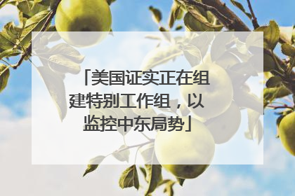 美国证实正在组建特别工作组，以监控中东局势