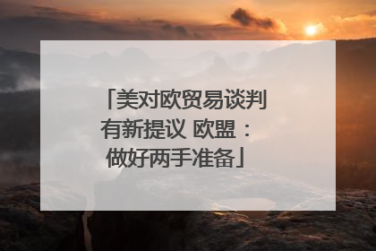美对欧贸易谈判有新提议 欧盟：做好两手准备