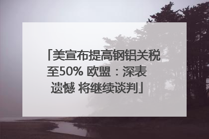 美宣布提高钢铝关税至50% 欧盟：深表遗憾 将继续谈判