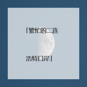 繁忙的二连浩特口岸
