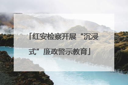 红安检察开展“沉浸式”廉政警示教育