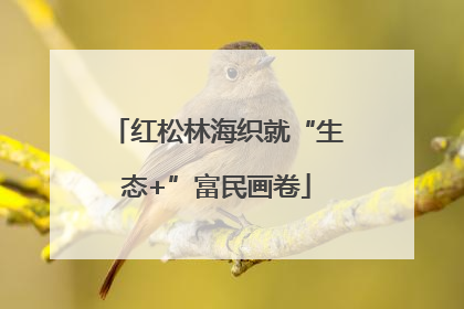 红松林海织就“生态+”富民画卷