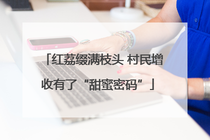 红荔缀满枝头 村民增收有了“甜蜜密码”