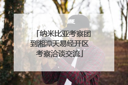 纳米比亚考察团到湘潭天易经开区考察洽谈交流