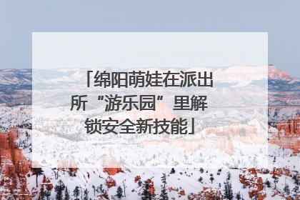 绵阳萌娃在派出所“游乐园”里解锁安全新技能