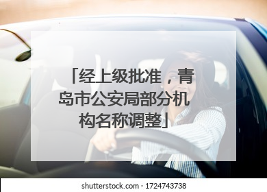 经上级批准，青岛市公安局部分机构名称调整