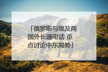 俄罗斯与埃及两国外长通电话 重点讨论中东局势