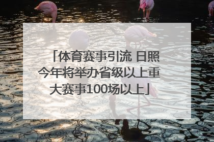 体育赛事引流 日照今年将举办省级以上重大赛事100场以上