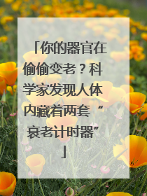 你的器官在偷偷变老？科学家发现人体内藏着两套“衰老计时器”