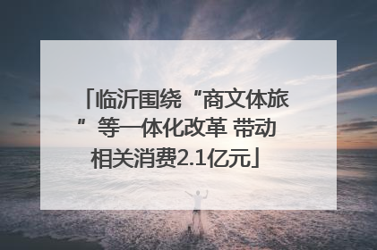 临沂围绕“商文体旅”等一体化改革 带动相关消费2.1亿元