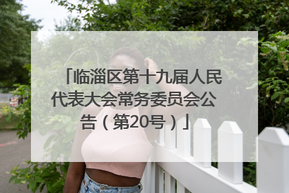 临淄区第十九届人民代表大会常务委员会公告（第20号）
