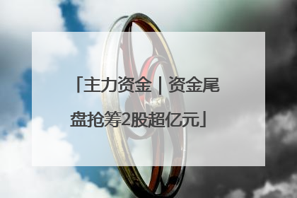 主力资金｜资金尾盘抢筹2股超亿元