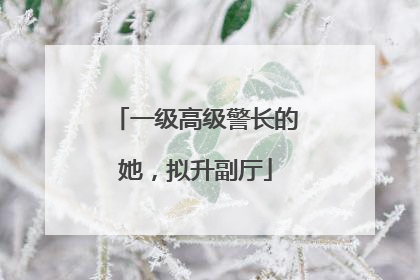 一级高级警长的她，拟升副厅