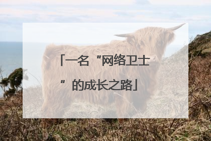 一名“网络卫士”的成长之路