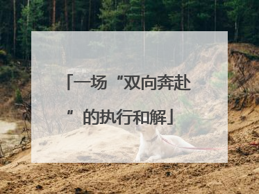 一场“双向奔赴”的执行和解