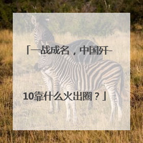 一战成名，中国歼-10靠什么火出圈？
