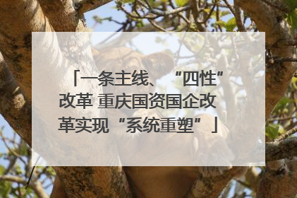 一条主线、“四性”改革 重庆国资国企改革实现“系统重塑”