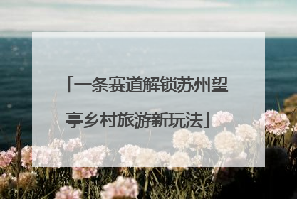 一条赛道解锁苏州望亭乡村旅游新玩法