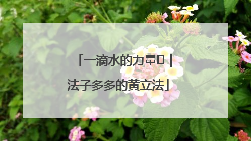一滴水的力量⑬｜法子多多的黄立法