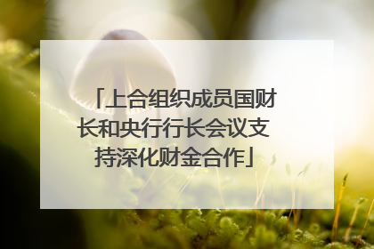上合组织成员国财长和央行行长会议支持深化财金合作