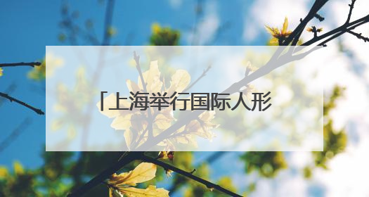 上海举行国际人形机器人技能大赛