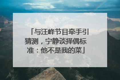 与汪峰节目牵手引猜测，宁静谈择偶标准：他不是我的菜